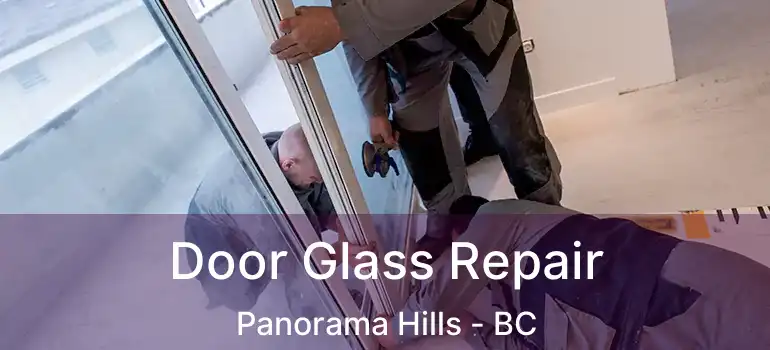  Door Glass Repair Panorama Hills - BC