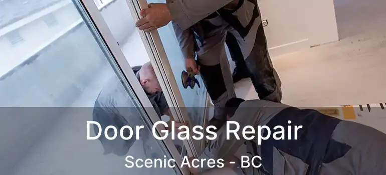 Door Glass Repair Scenic Acres - BC