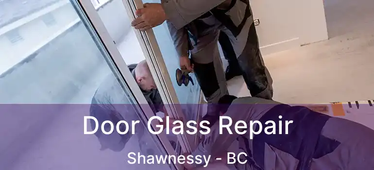  Door Glass Repair Shawnessy - BC