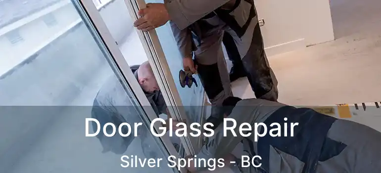  Door Glass Repair Silver Springs - BC