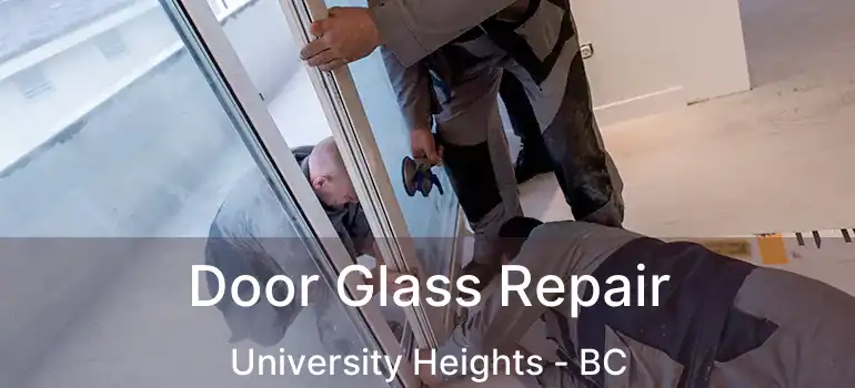  Door Glass Repair University Heights - BC
