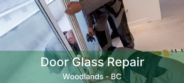  Door Glass Repair Woodlands - BC