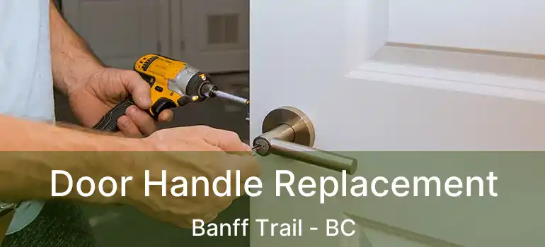 Door Handle Replacement Banff Trail - BC