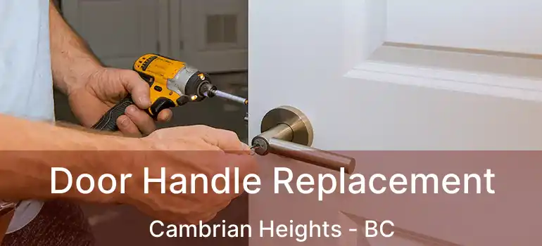  Door Handle Replacement Cambrian Heights - BC