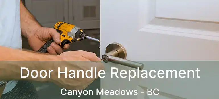  Door Handle Replacement Canyon Meadows - BC