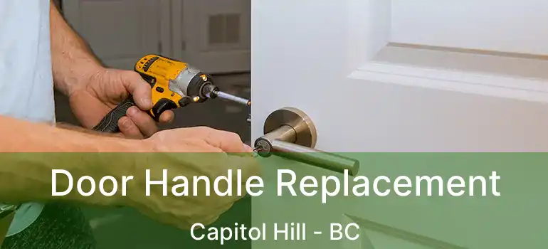  Door Handle Replacement Capitol Hill - BC