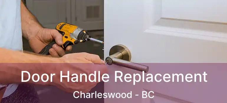  Door Handle Replacement Charleswood - BC