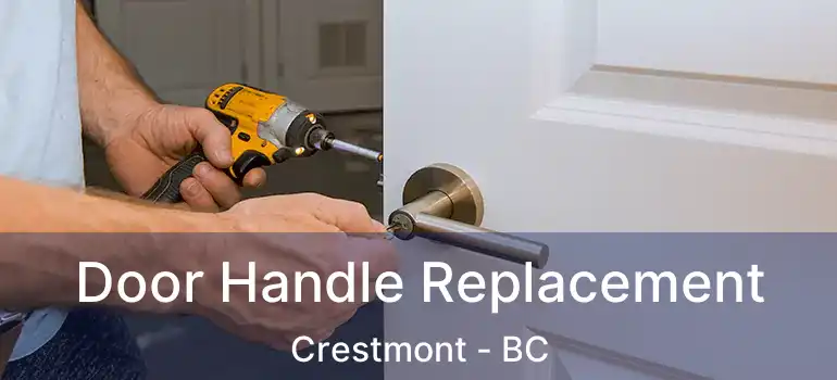  Door Handle Replacement Crestmont - BC