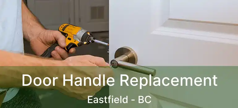  Door Handle Replacement Eastfield - BC