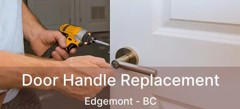  Door Handle Replacement Edgemont - BC