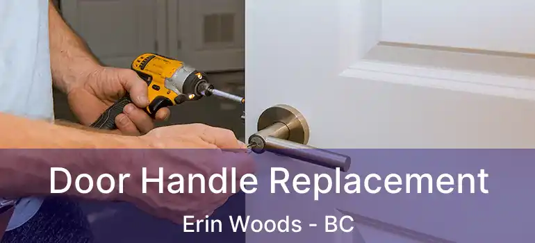  Door Handle Replacement Erin Woods - BC