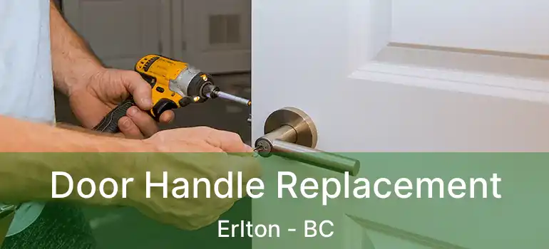  Door Handle Replacement Erlton - BC