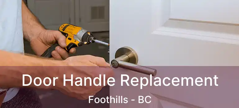  Door Handle Replacement Foothills - BC