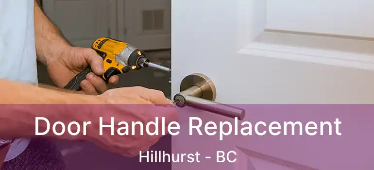  Door Handle Replacement Hillhurst - BC