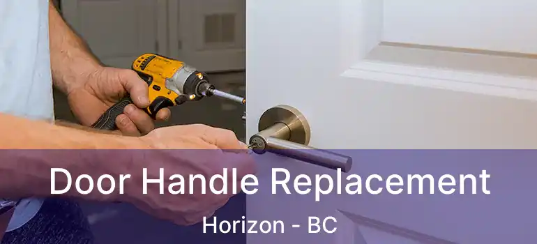  Door Handle Replacement Horizon - BC