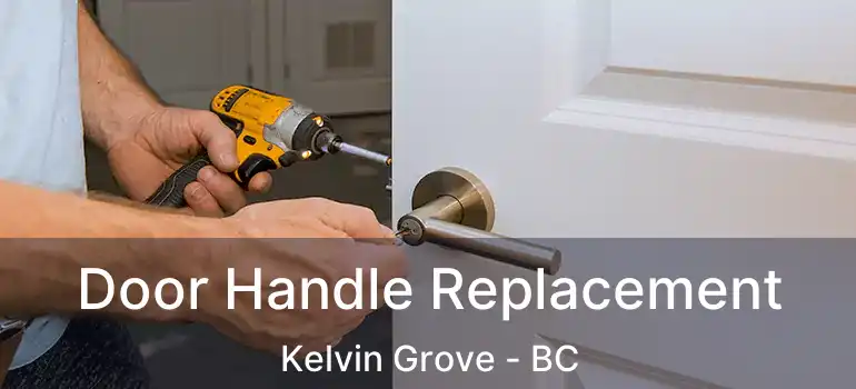  Door Handle Replacement Kelvin Grove - BC