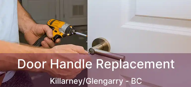  Door Handle Replacement Killarney/Glengarry - BC