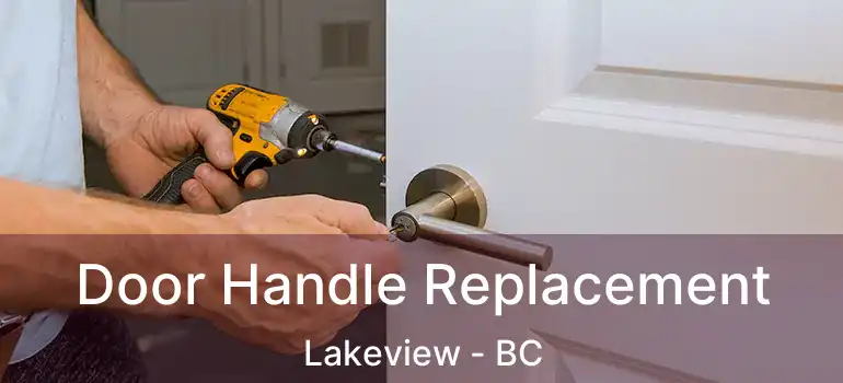  Door Handle Replacement Lakeview - BC