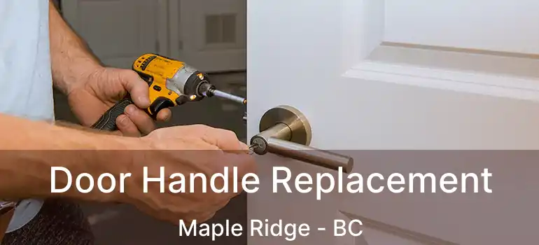  Door Handle Replacement Maple Ridge - BC