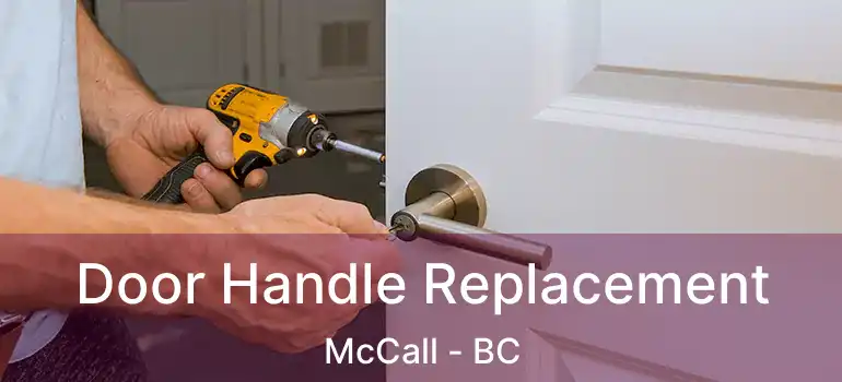  Door Handle Replacement McCall - BC