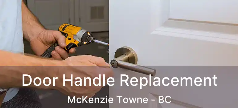  Door Handle Replacement McKenzie Towne - BC