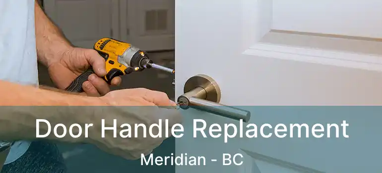  Door Handle Replacement Meridian - BC