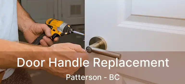  Door Handle Replacement Patterson - BC