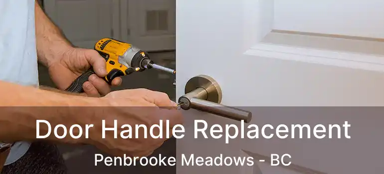  Door Handle Replacement Penbrooke Meadows - BC