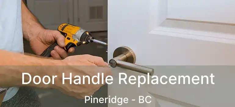  Door Handle Replacement Pineridge - BC