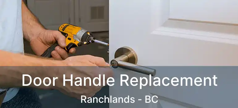  Door Handle Replacement Ranchlands - BC