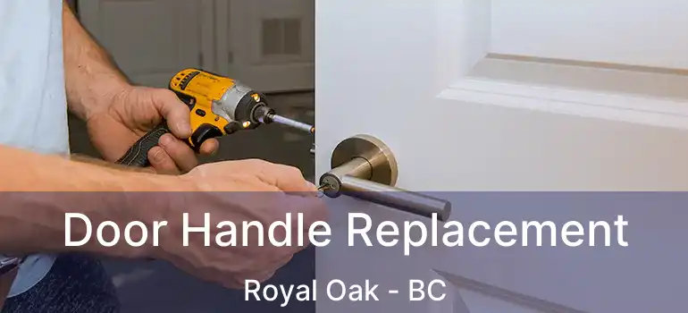  Door Handle Replacement Royal Oak - BC