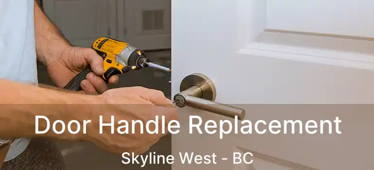  Door Handle Replacement Skyline West - BC