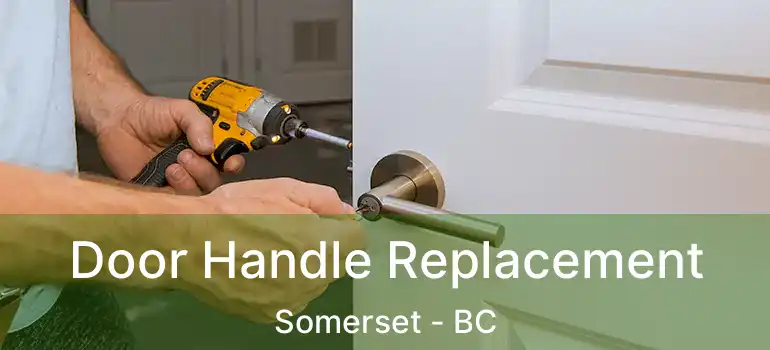  Door Handle Replacement Somerset - BC