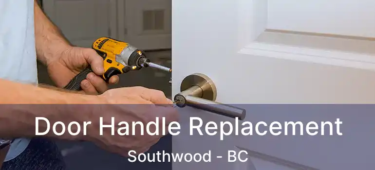  Door Handle Replacement Southwood - BC