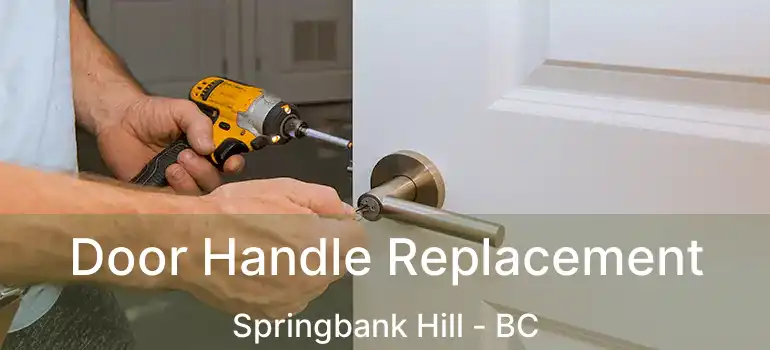  Door Handle Replacement Springbank Hill - BC