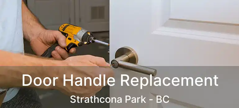  Door Handle Replacement Strathcona Park - BC