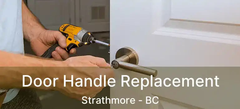  Door Handle Replacement Strathmore - BC