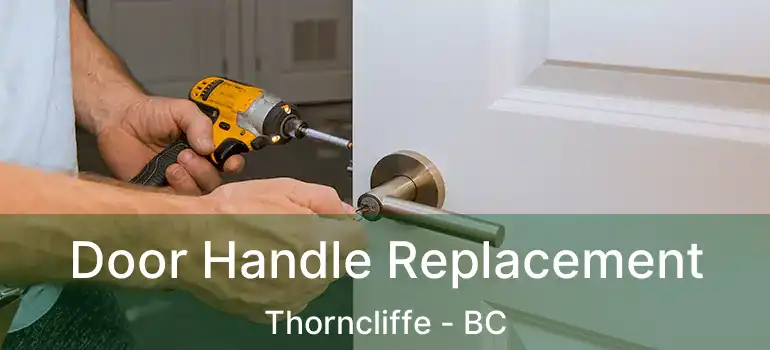  Door Handle Replacement Thorncliffe - BC