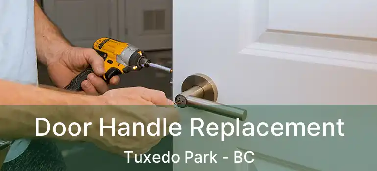  Door Handle Replacement Tuxedo Park - BC