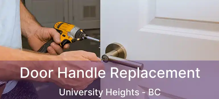  Door Handle Replacement University Heights - BC