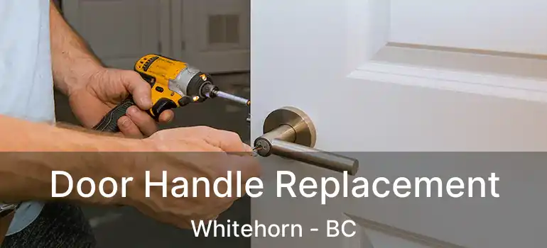  Door Handle Replacement Whitehorn - BC