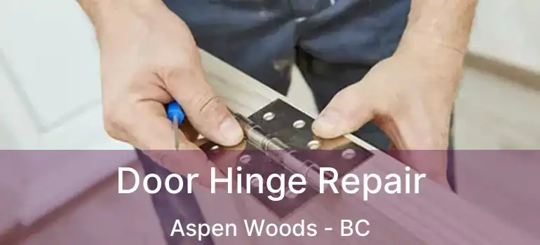  Door Hinge Repair Aspen Woods - BC