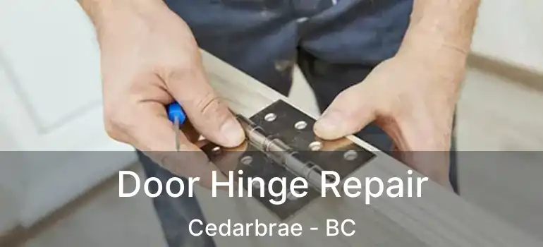  Door Hinge Repair Cedarbrae - BC