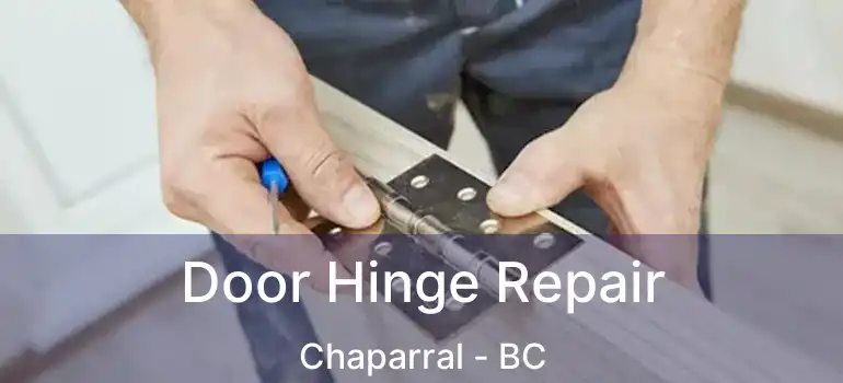  Door Hinge Repair Chaparral - BC