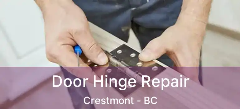  Door Hinge Repair Crestmont - BC