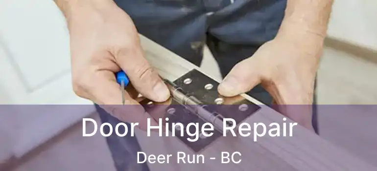  Door Hinge Repair Deer Run - BC