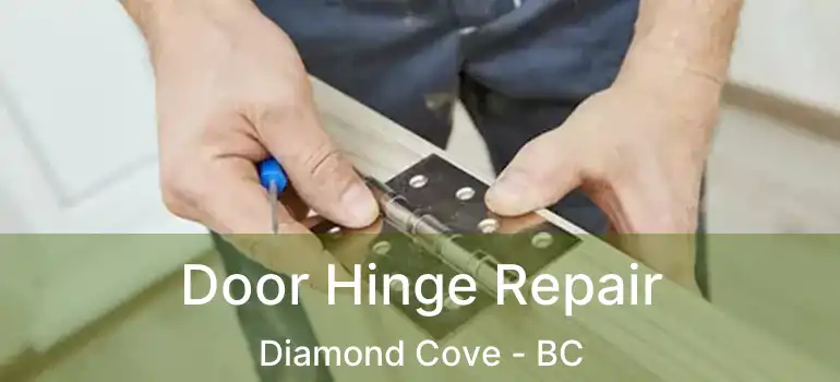  Door Hinge Repair Diamond Cove - BC