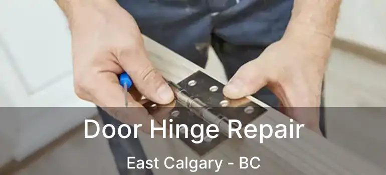  Door Hinge Repair East Calgary - BC