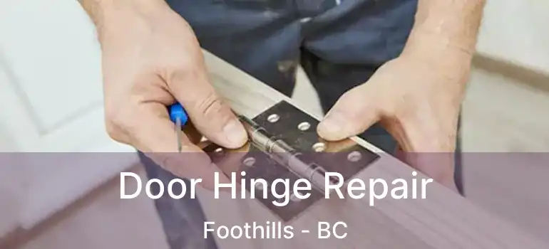  Door Hinge Repair Foothills - BC