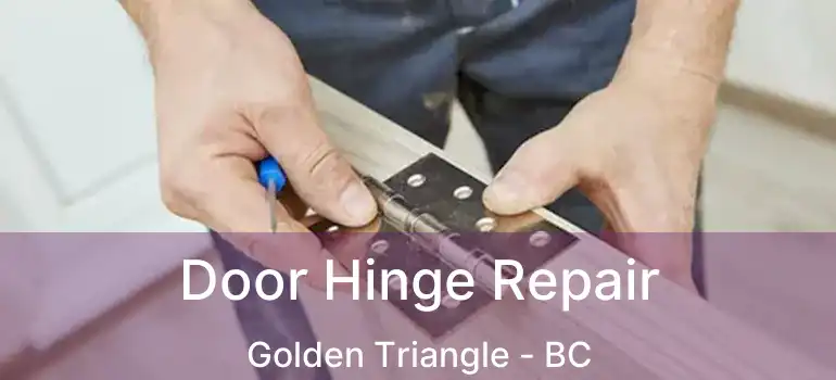  Door Hinge Repair Golden Triangle - BC